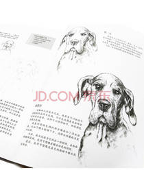素描基础入门