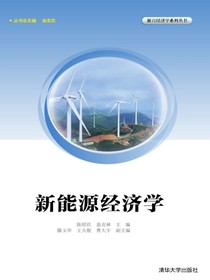 新能源经济学