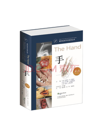 骨科标准手术技术丛书：手