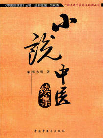 小说中医书籍
