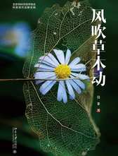 莫非 《风吹草木动》