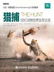 猎捕：BBC动物世界生存之战