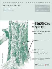 一棵花旗松的生命之旅
