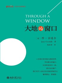 大地的窗口