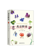 北京大学出版社 北京野花