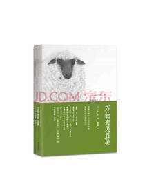 万物有灵且美