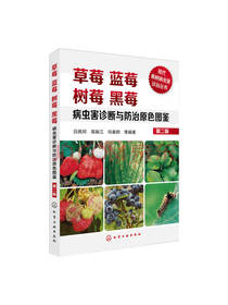 蓝莓树莓黑莓病虫害诊断与防治