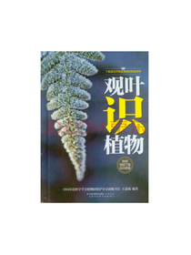 观叶识植物