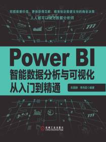 Power BI智能数据分析与可视化从入门到精通