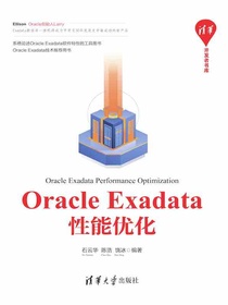 Oracle Exadata性能优化