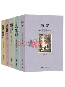 《了不起的盖茨比》套装