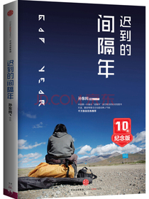 迟到的间隔年 中信出版社