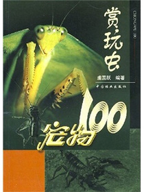 宠物100：赏玩虫