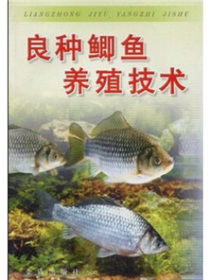 良种鲫鱼养殖技术