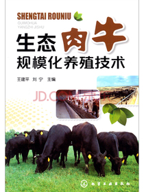 生态肉牛规模化养殖技术