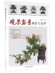 观果盆景制作与养护
