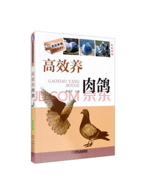 高效养肉鸽（双色印刷）