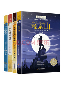 纽伯瑞儿童文学大奖第三辑4册 慌泉山、漂浮的岛、木头娃娃的百年旅行、金篮子的旅店小学生阅读书三年级四