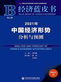 2021年中国经济形势分析与预测（经济蓝皮书）