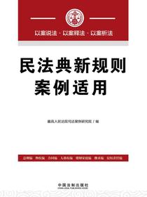 民法典新规则案例适用