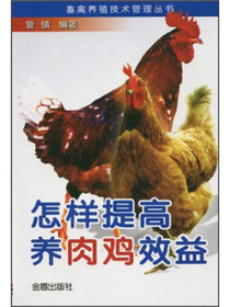 怎样提高养肉鸡效益