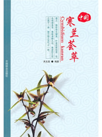 中国寒兰荟萃