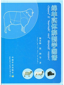 绵羊实体解剖学图谱