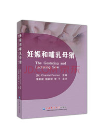 妊娠和哺乳母猪