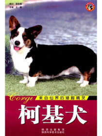 世界名犬：柯基犬