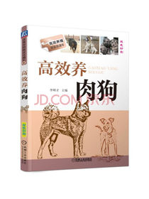 高效养肉狗