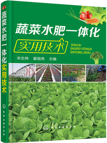 蔬菜水肥一体化实用技术