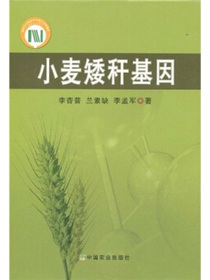 小麦矮秆基因
