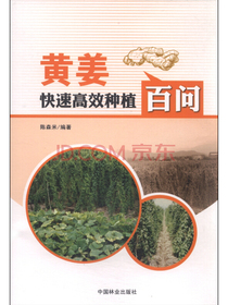 黄姜快速高效种植百问