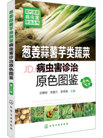 现代蔬菜病虫害防治丛书--葱姜蒜薯芋类蔬菜病虫害诊治原色图鉴（第二版）