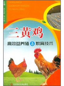 三黄鸡高效益养殖与繁育技术