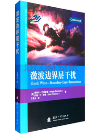 激波边界层干扰