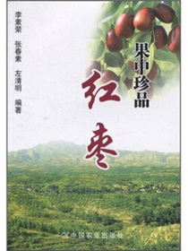 果中珍品：红枣
