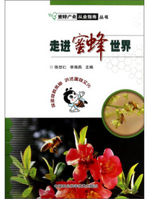 走进蜜蜂世界