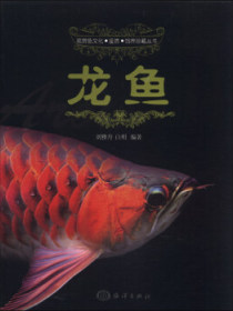 观赏鱼文化·鉴赏·饲养珍藏丛书：龙鱼