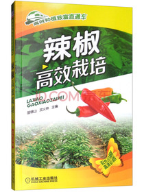 辣椒高效栽培