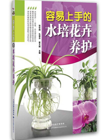容易上手的水培花卉养护