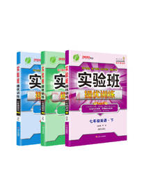 实验班提优训练套装