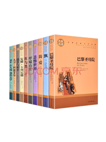 《巴黎圣母院》系列套装