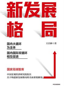 新发展格局