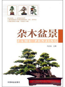 杂木盆景