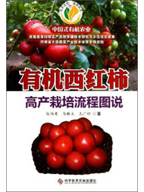 有机西红柿高产栽培流程图说