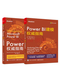 Power BI权威书系（套装2册）(博文视点出品)