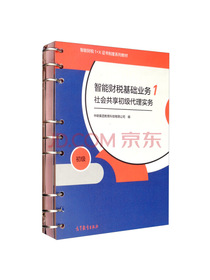 智能财税基础业务1 社会共享初级代理实务（套装共3册）
