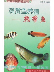观赏鱼养殖：热带鱼