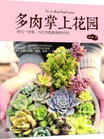 多肉掌上花园